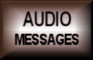 Audio Button